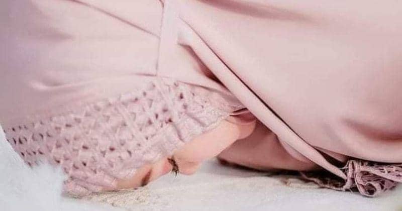 Pinterest/𝐌𝐮𝐡𝐚𝐦𝐦𝐚𝐝 𝐓𝐚𝐮𝐟𝐢𝐪